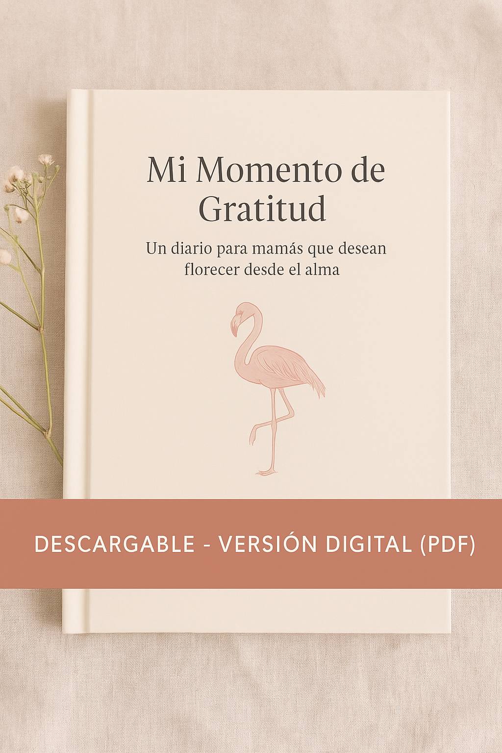 My Moment of Gratitude – Digital Version (PDF)